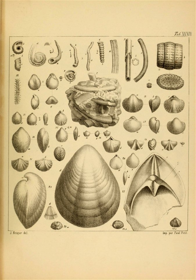 n102_w1150