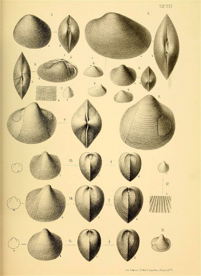 n114_w1150