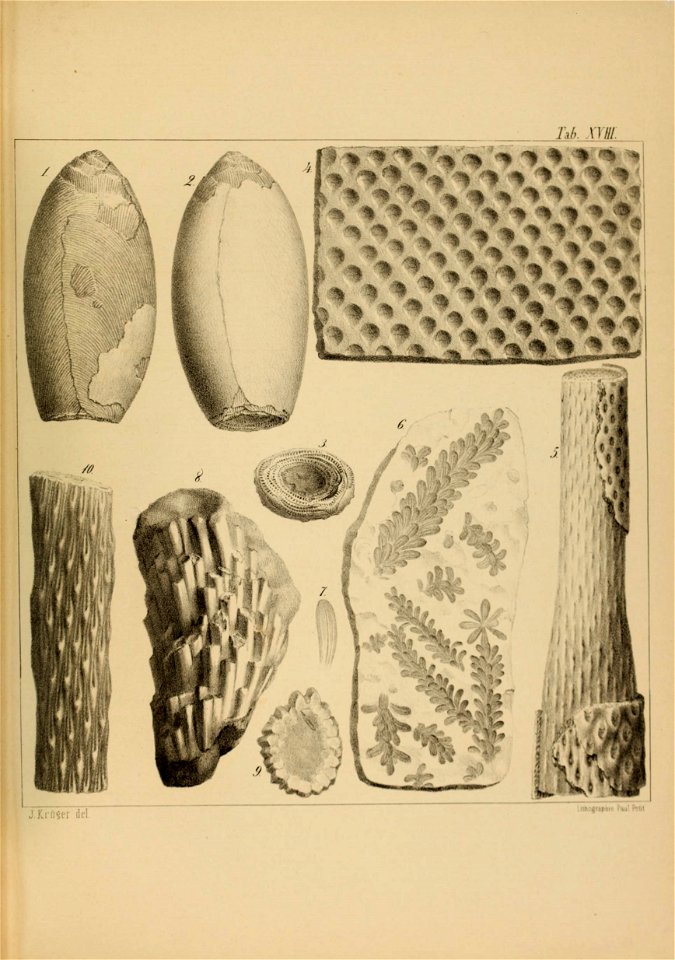 n66_w1150