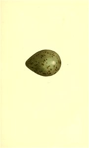 n56_w1150