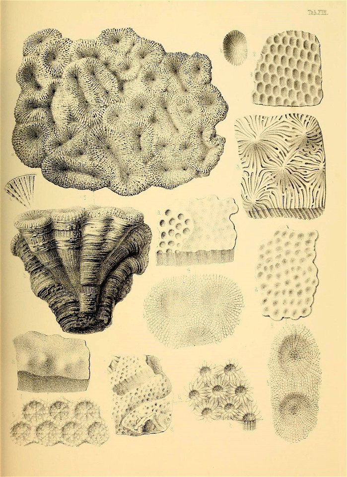 n62_w1150