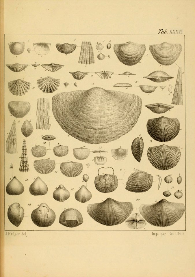 n106_w1150