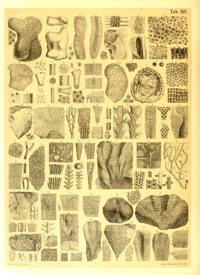 n109_w1150