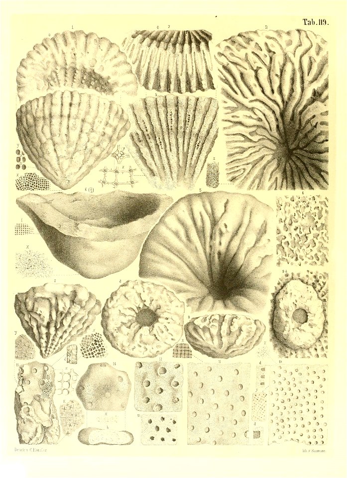 n19_w1150
