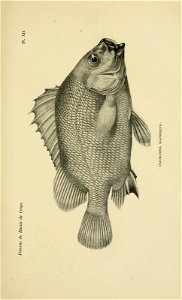 n502_w1150