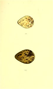 n282_w1150