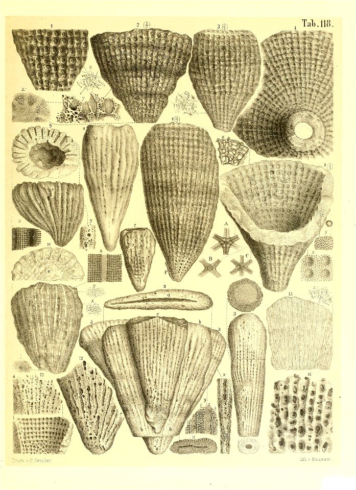n16_w1150
