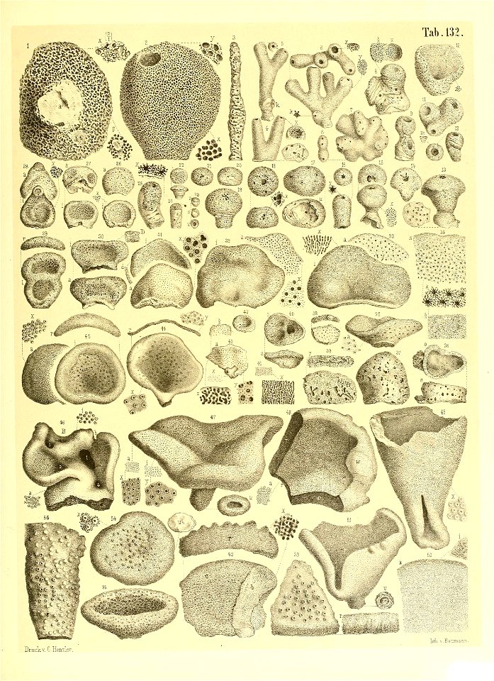 n58_w1150