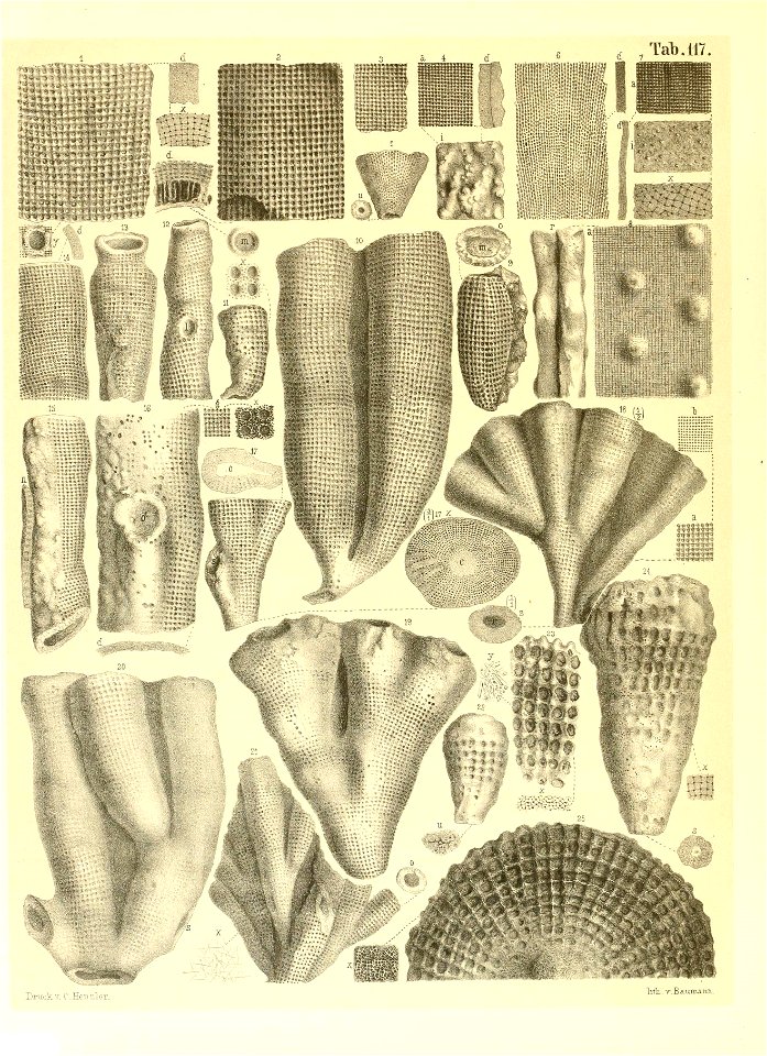 n13_w1150