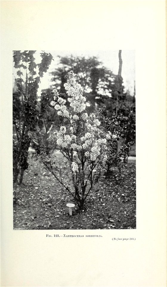 n406_w1150