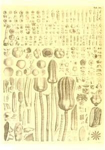 n57_w1150