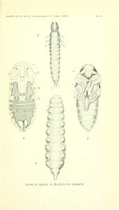n418_w1150