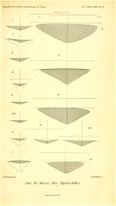 n592_w1150