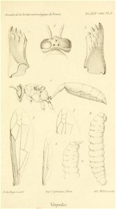 n474_w1150