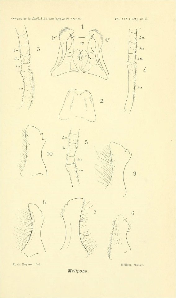 n696_w1150