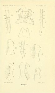 n696_w1150