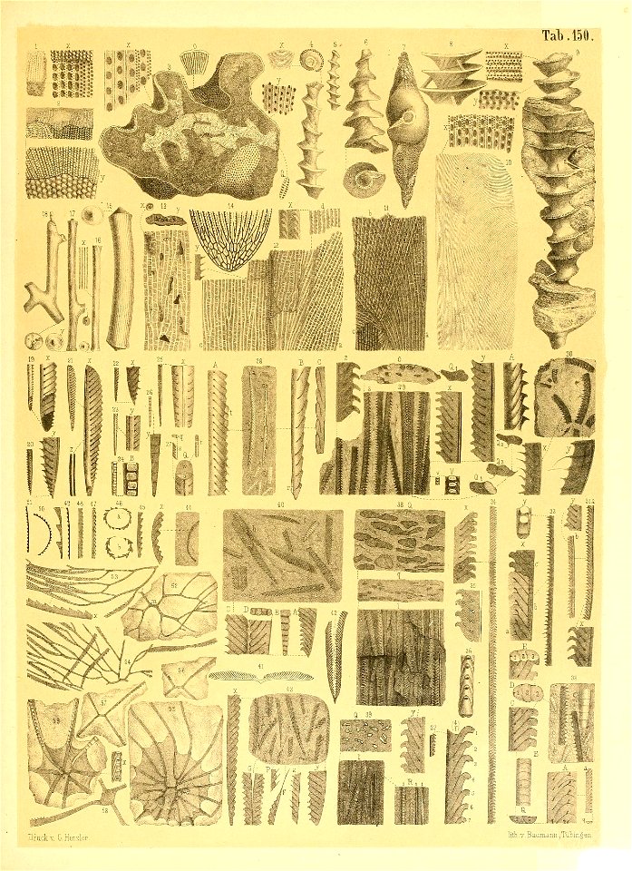 n112_w1150
