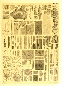 n112_w1150