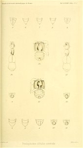 n478_w1150