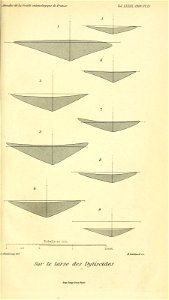n590_w1150