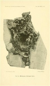 n694_w1150