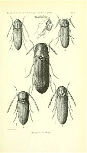 n414_w1150