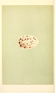 n351_w1150