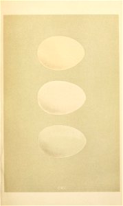 n180_w1150