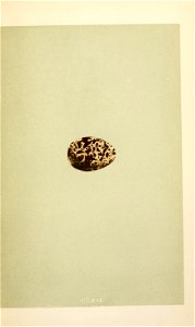 n348_w1150