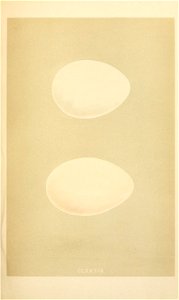 n174_w1150