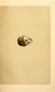 n82_w1150