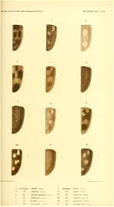 n376_w1150