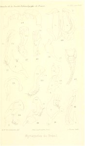 n802_w1150