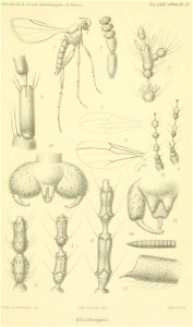 n688_w1150