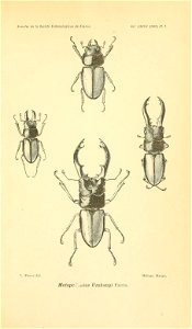 n858_w1150