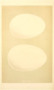 n165_w1150
