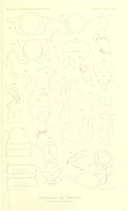 n698_w1150