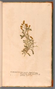 n154_w1150