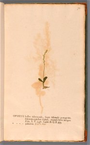 n152_w1150