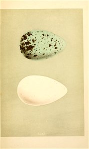 n280_w1150