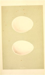 n5_w1150