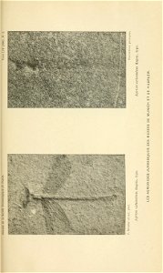 n710_w1150