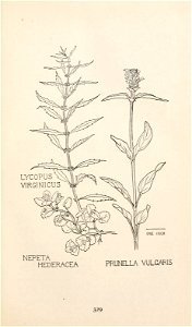 n392_w1150