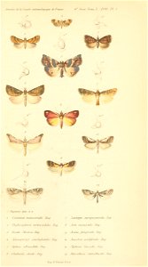 n974_w1150