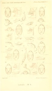 n594_w1150