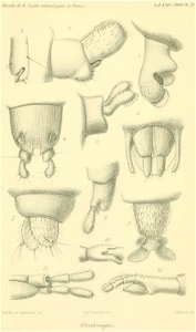 n694_w1150
