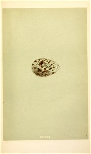 n358_w1150