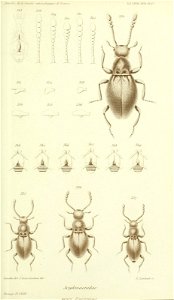 n674_w1150