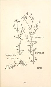 n364_w1150