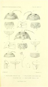 n878_w1150